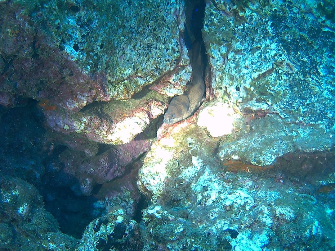 Atalaia Diving Center景点图片