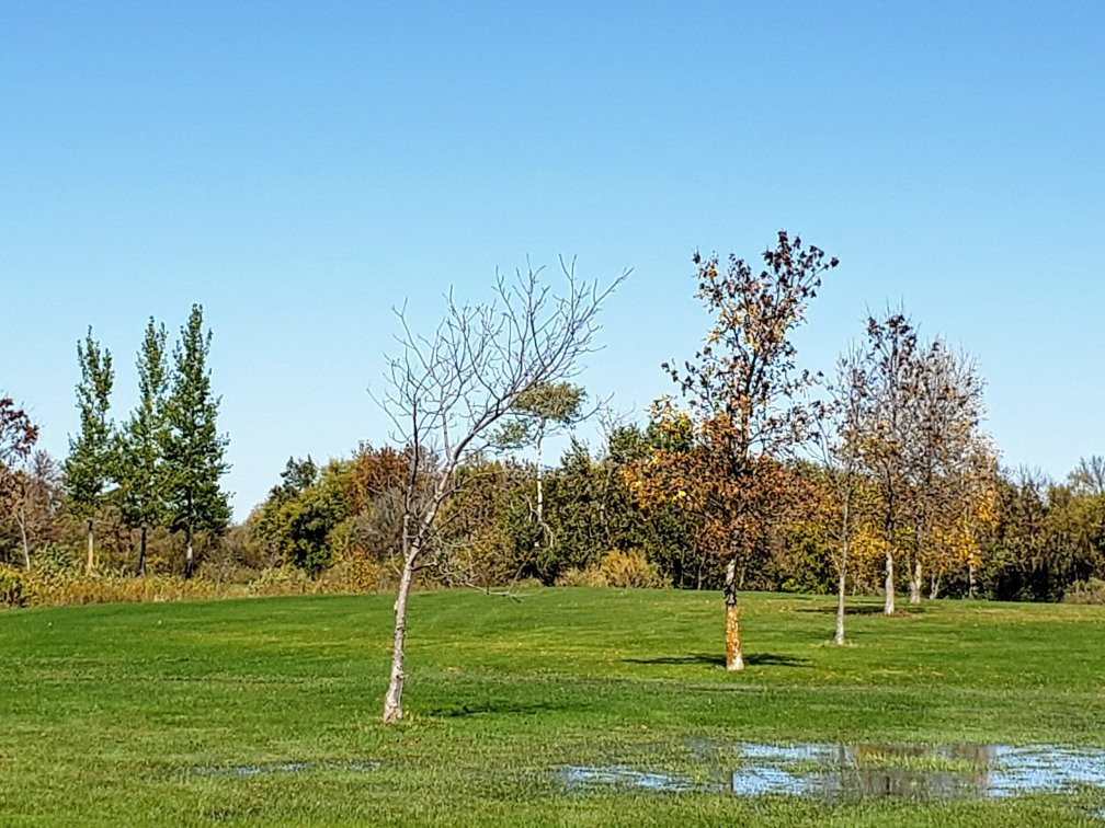 La Broquerie Golf Course景点图片