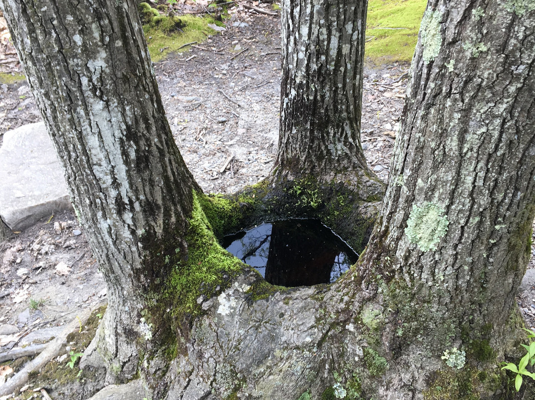Clarksburg State Park-Clarksburg必去景点