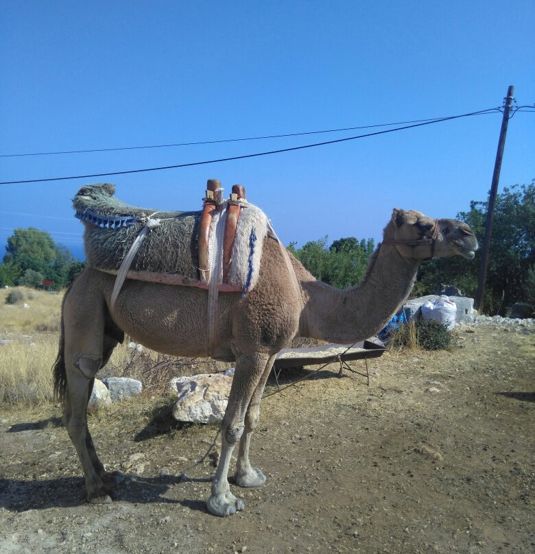 Cennet Cukuru Ve Cehennem Cukuru景点图片