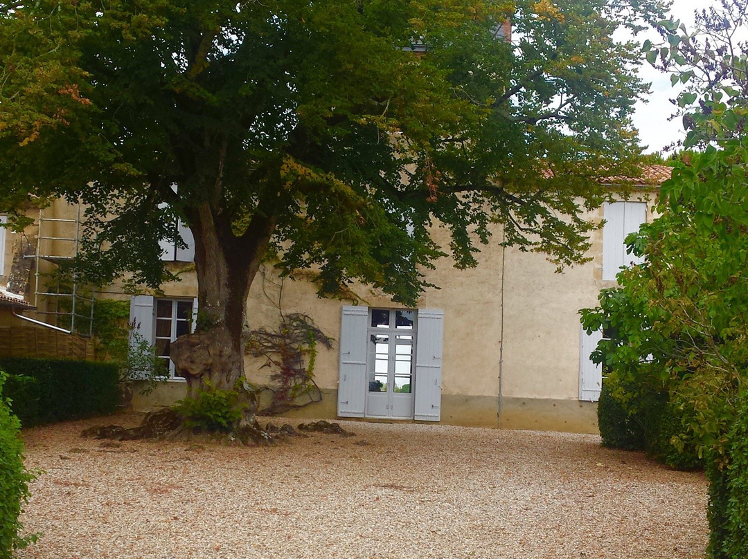 Domaine de Malagar景点图片