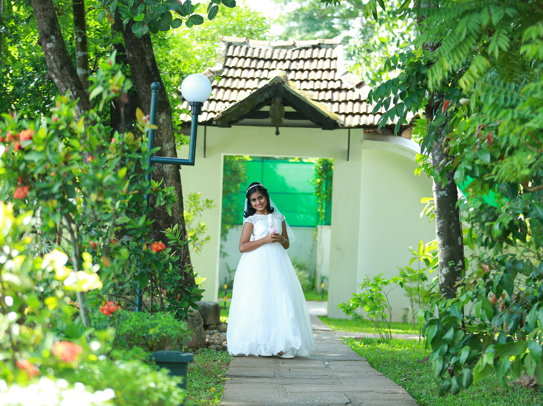 The Windsor Castle主图