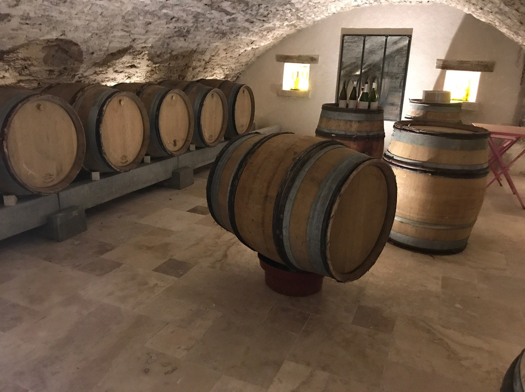 Vins Coudurier Jung景点图片