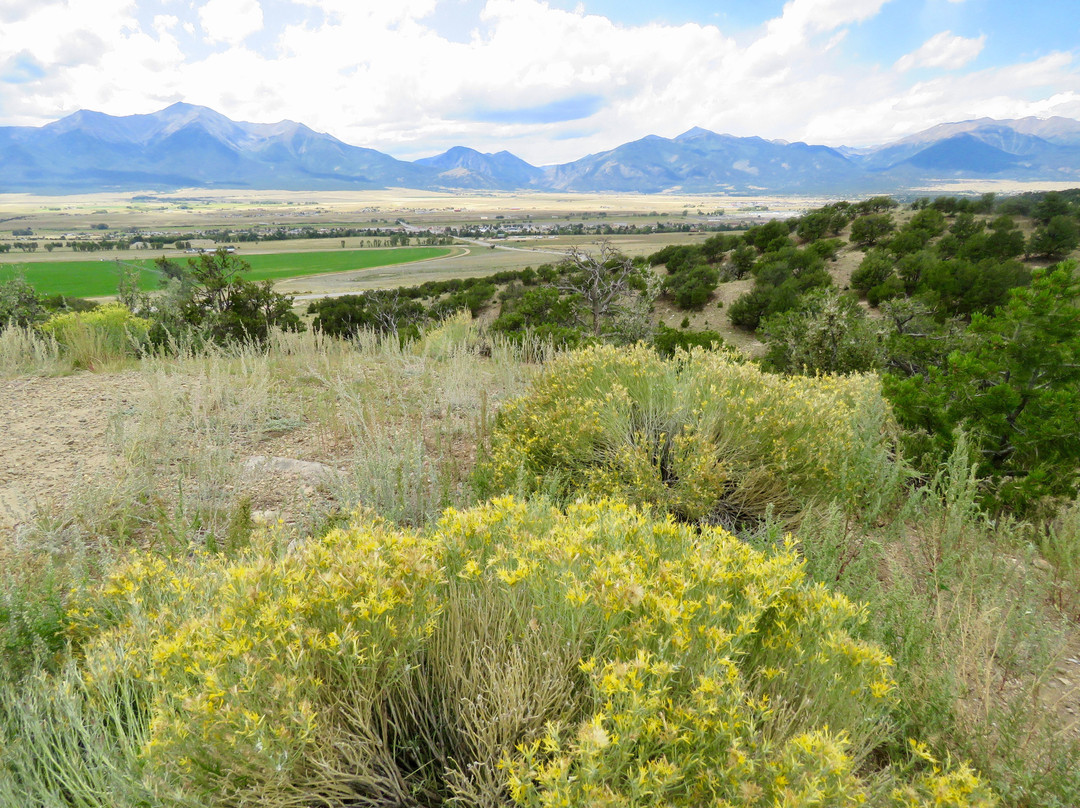 Collegiate Peaks Scenic Overlook-布埃纳维斯塔必去景点