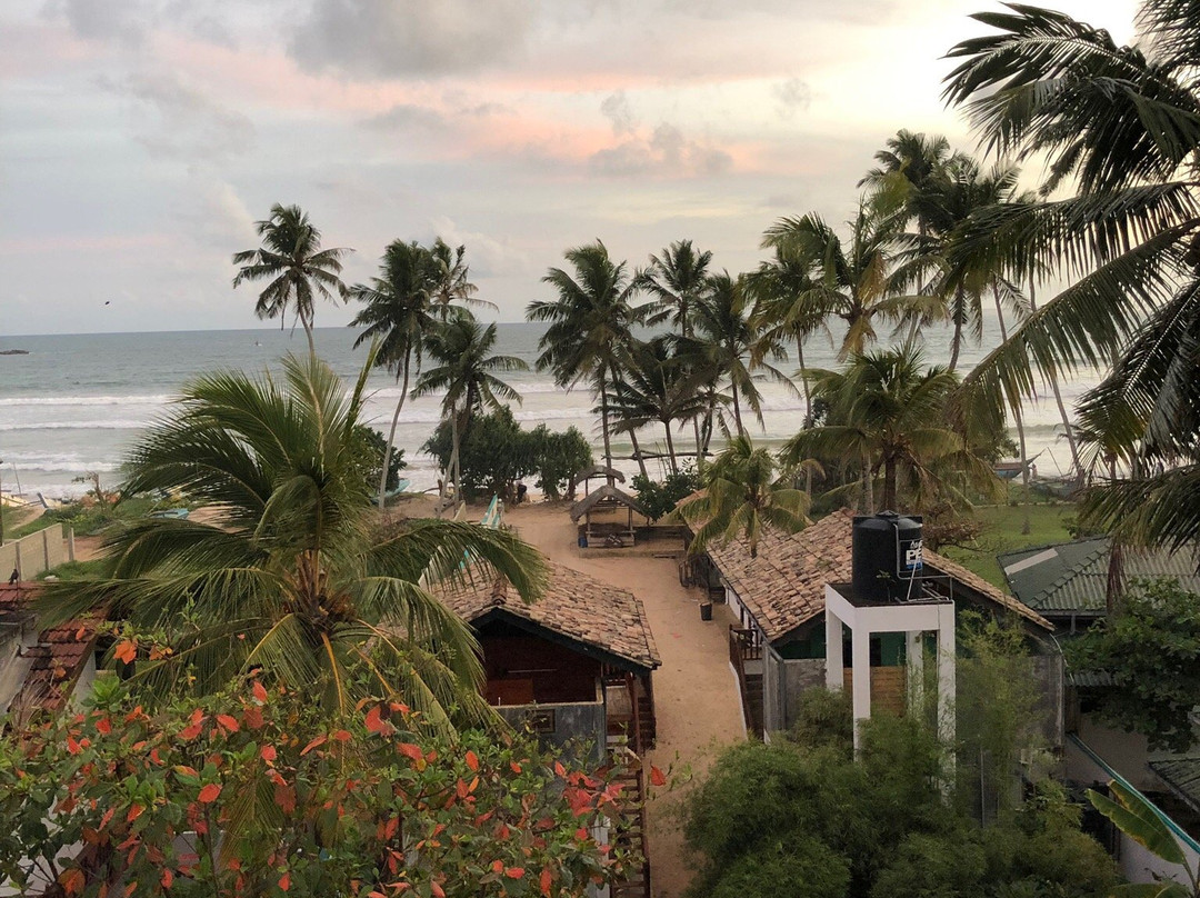 The Green Rooms主图