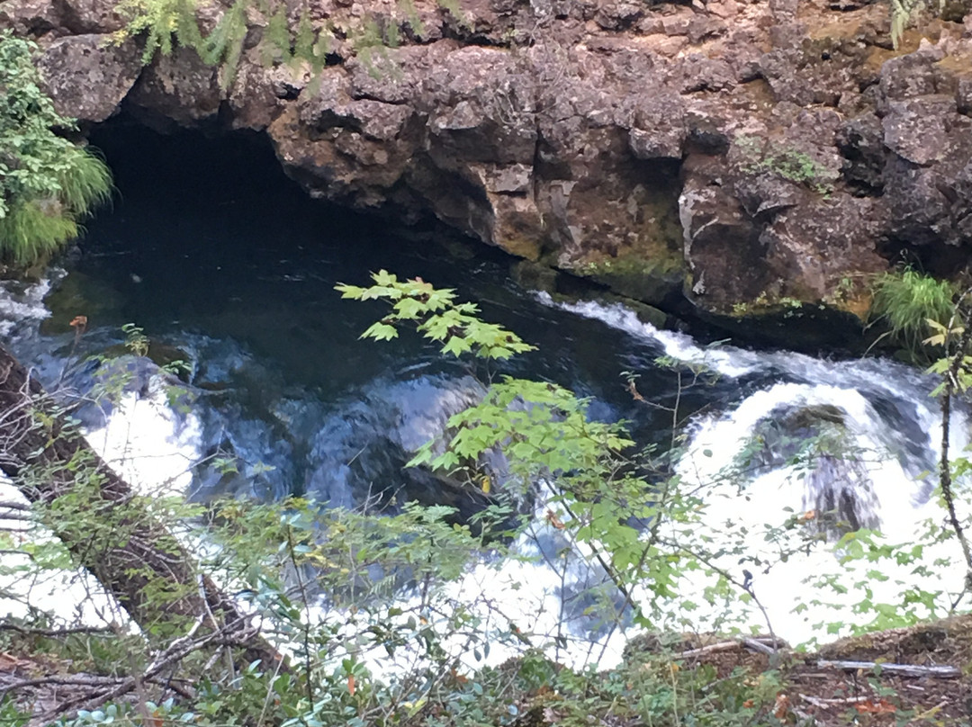 Natural Bridge Viewpoint-Prospect必去景点