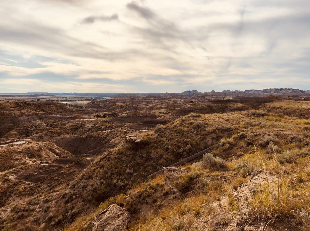 The Historic Kempton Hotel主图