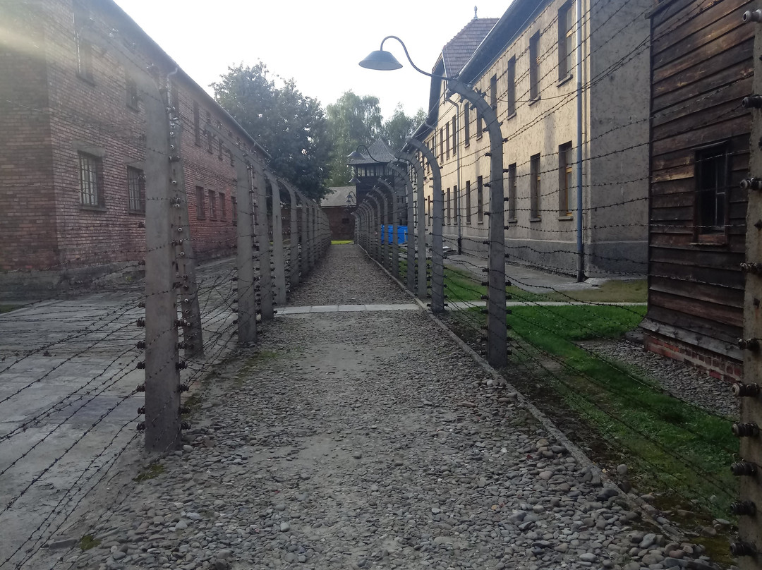 Krakow Auschwitz - Tours-克拉科夫必去景点