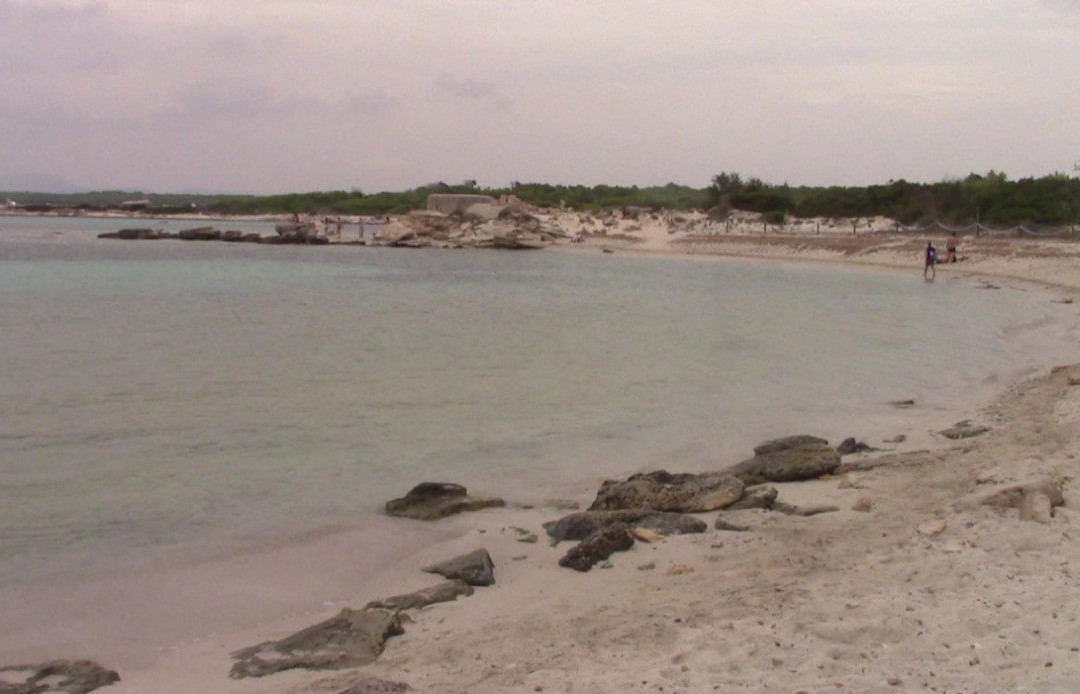 Platja Es Peregons-Campos必去景点