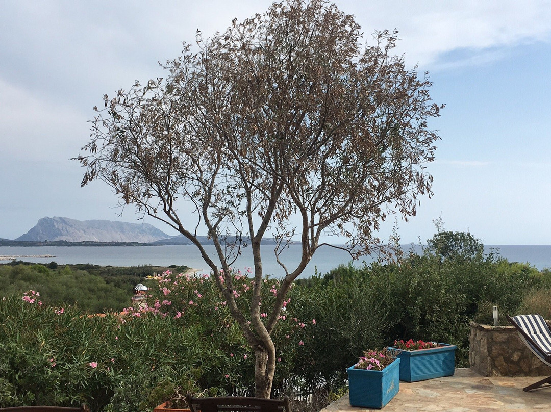 Villa Minda Lodges & View主图