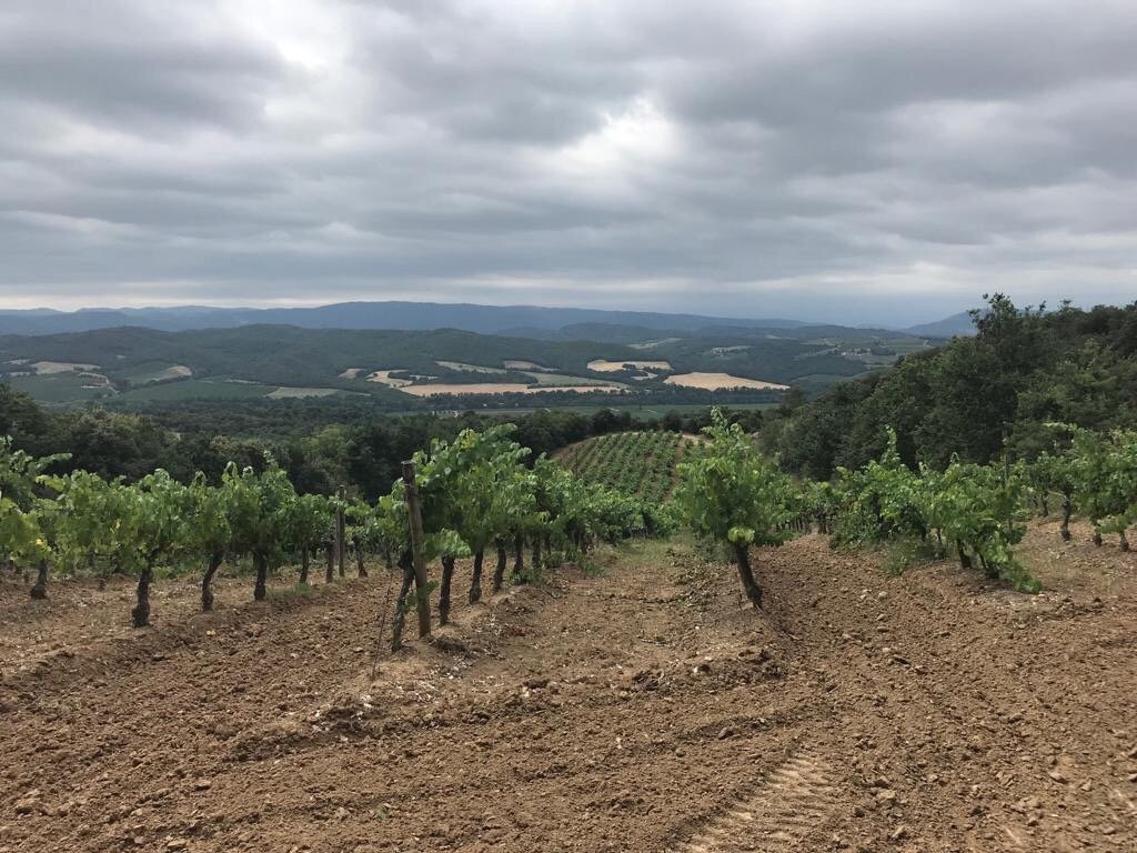Domaine la Coume-Lumet-Cepie必去景点