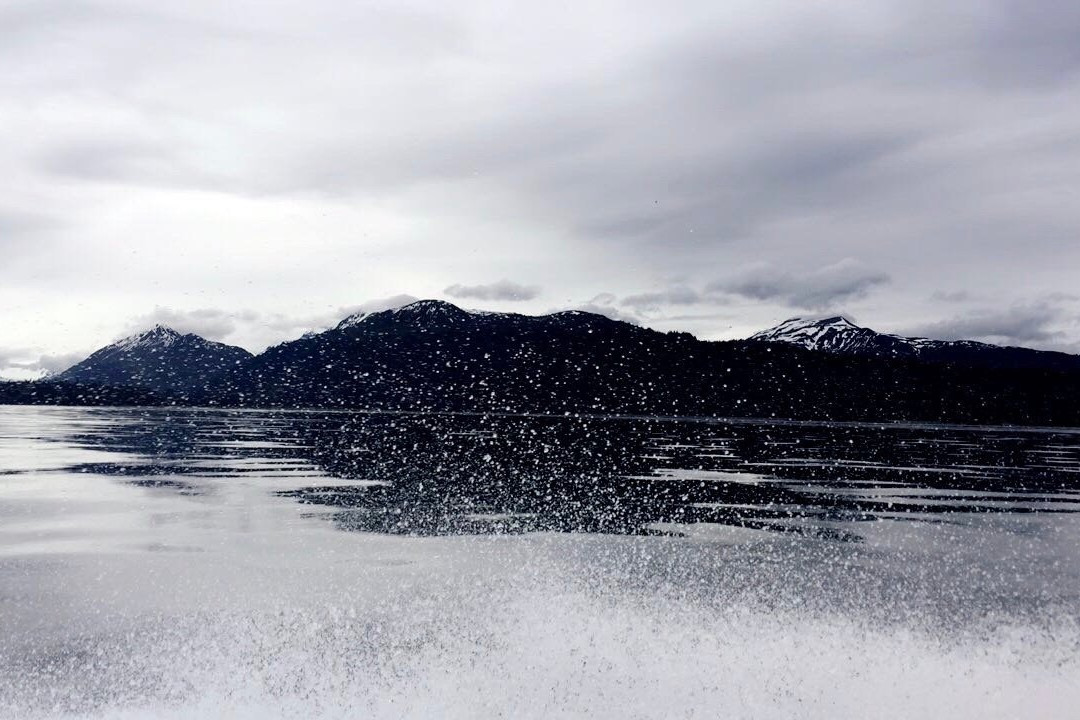 Across the Bay Tent and Breakfast主图