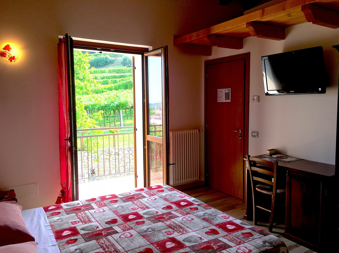 Agriturismo La Bella Vigna主图