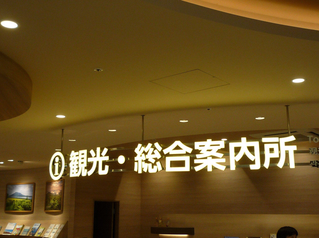 Kagoshima Airport Tourist and General Information Center景点图片