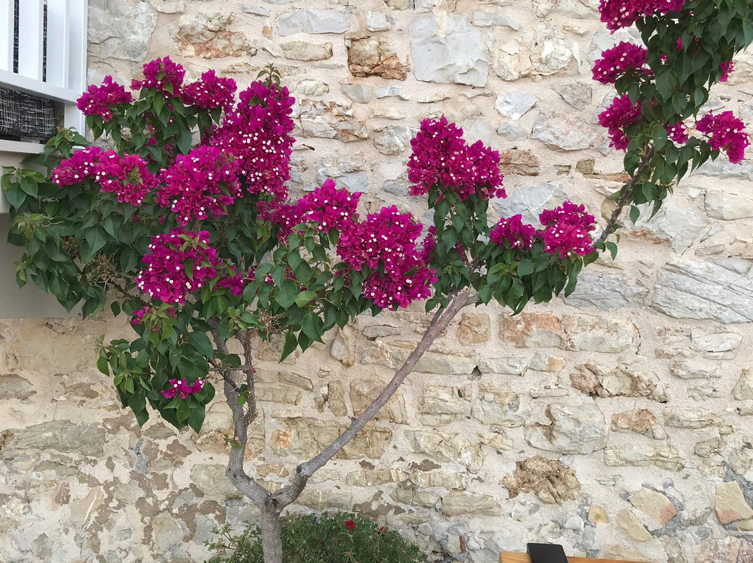 Aroma Cocktail Bar-Paralio Astros必去景点