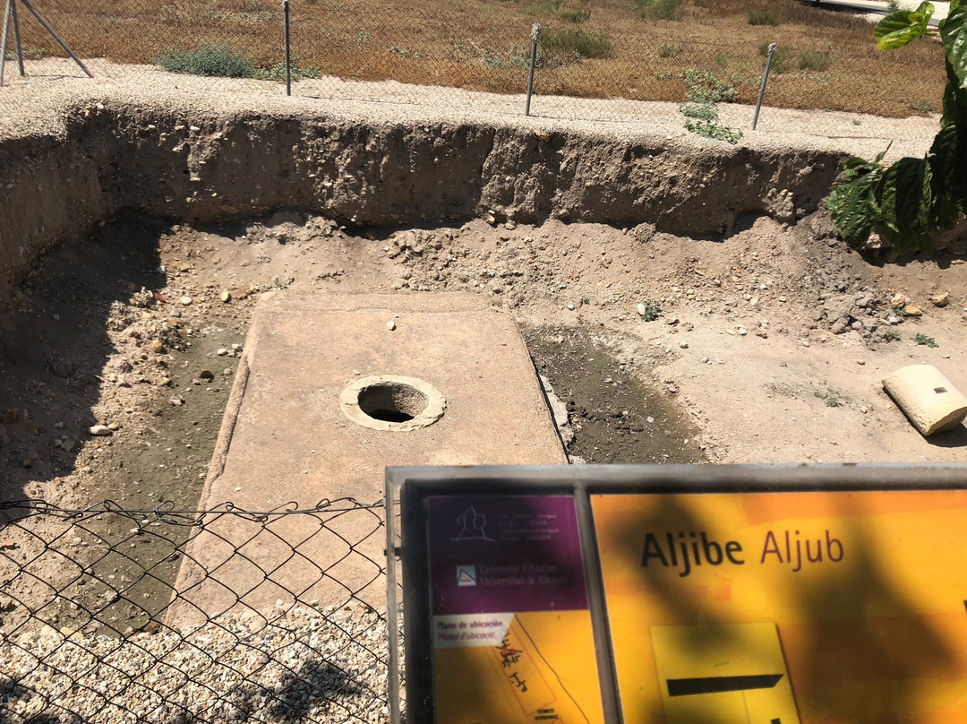 Parque Arqueologico la Alcudia景点图片