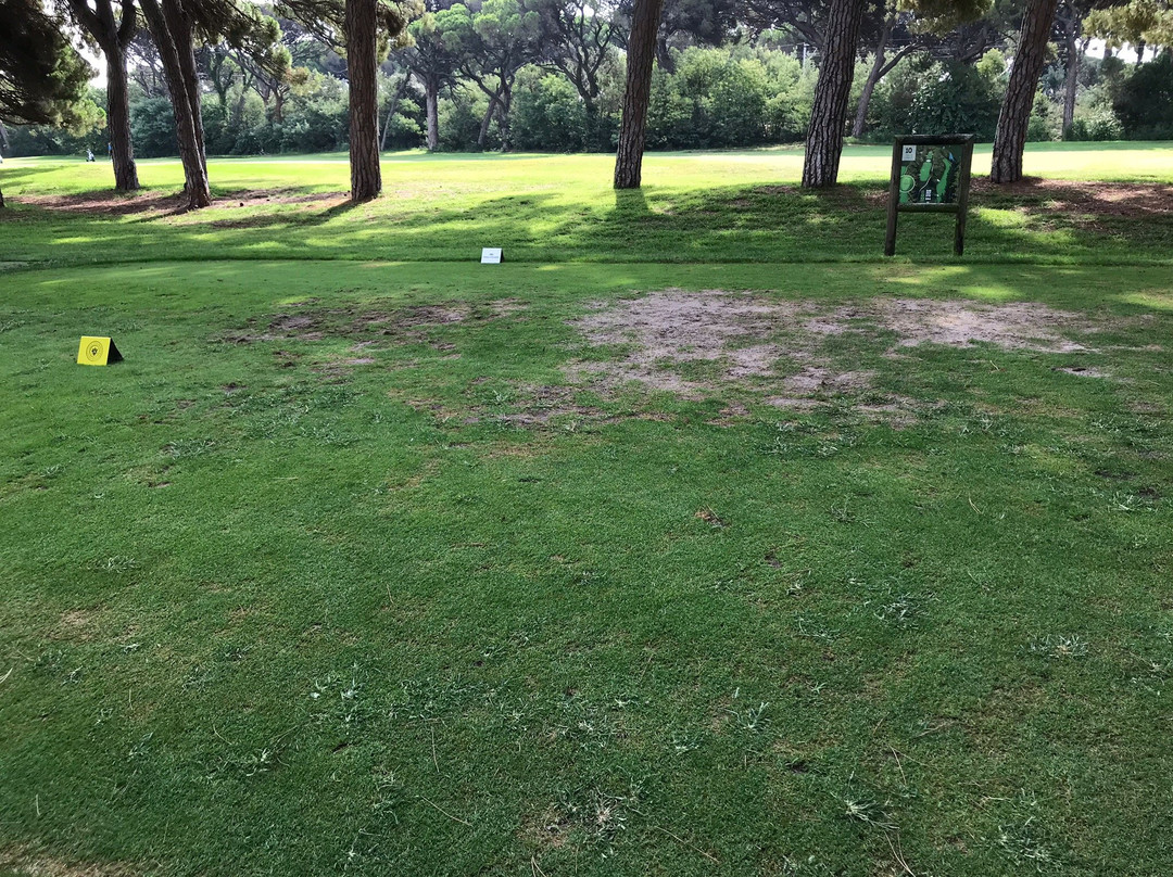 Old Course Cannes Golf Links景点图片