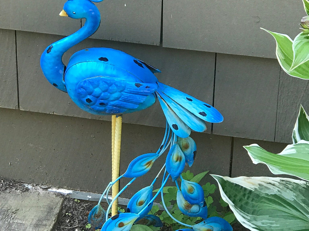 White Sails Inn主图