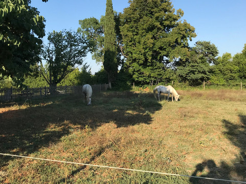 马斯埃马尔德民宿主图