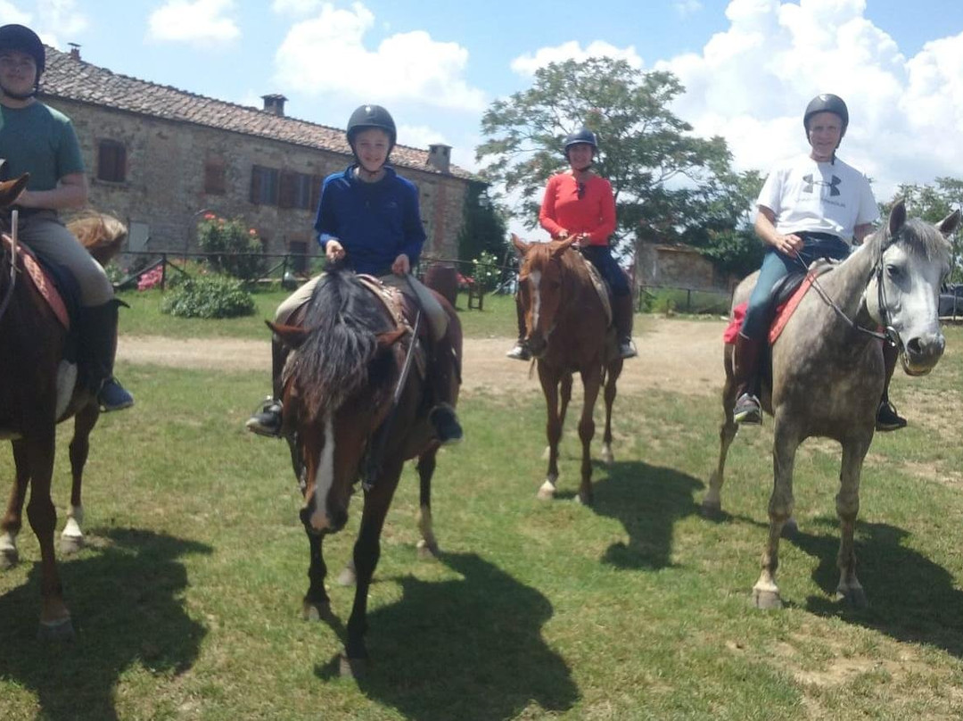 Centro Turismo Equestre Borgo Cignano景点图片