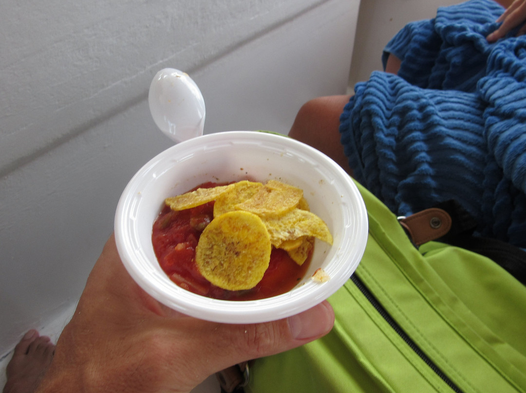 Ocean Vibes Scuba & Watersports-Grand Turk必去景点