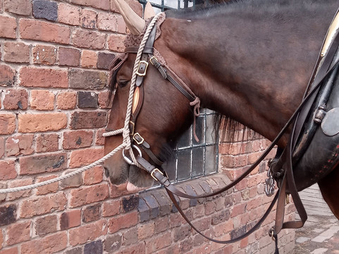 Blists Hill Victorian Town-Ironbridge必去景点