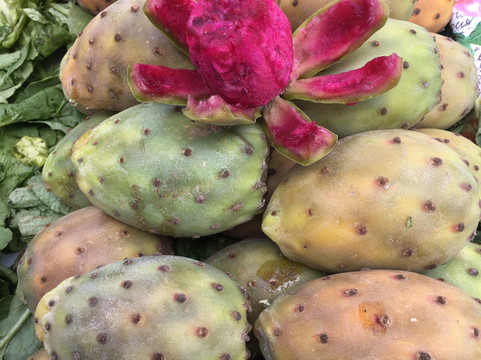 Hiexperiencetour-非斯必去景点