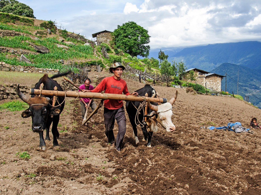 Seven Senses Tours-伦敦必去景点