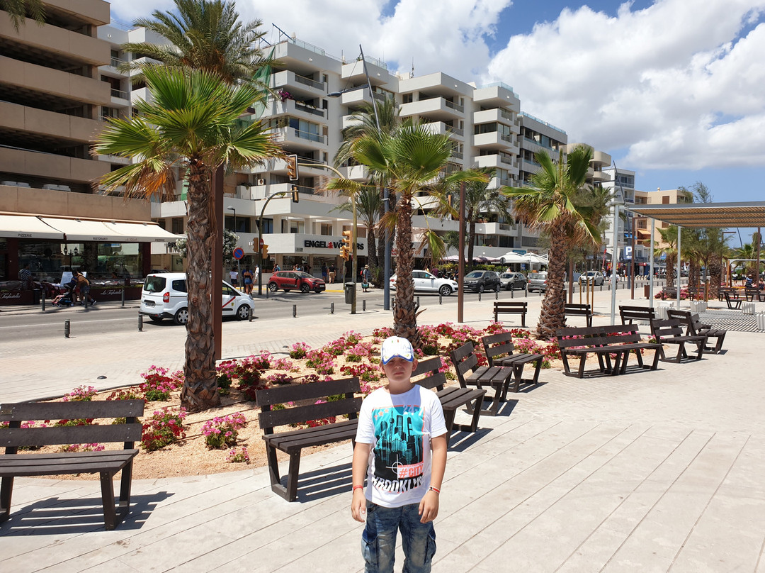 Marina Ibiza景点图片