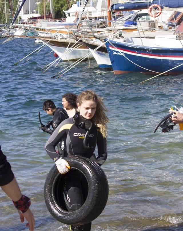 Foça Dalış Merkezi景点图片