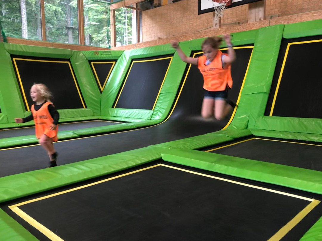 Hotel Feldberger Hof主图