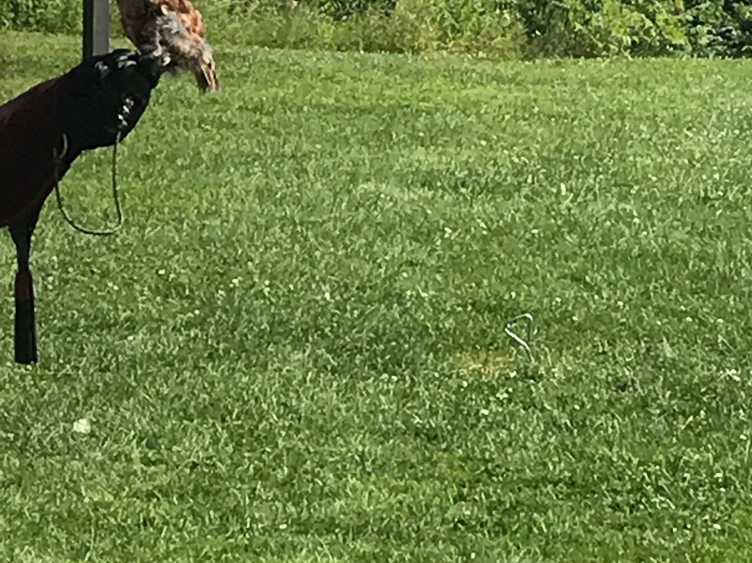 Chouette a voir!-Saint-Jude必去景点