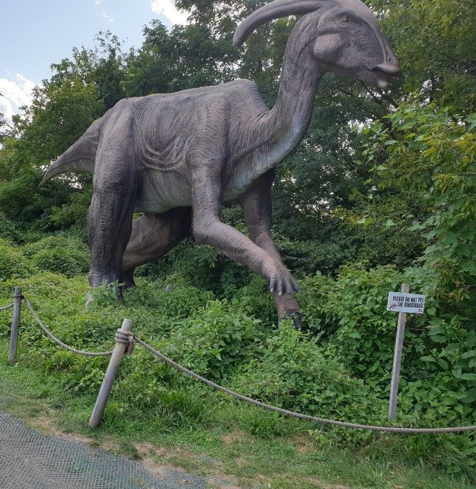 Field Station: Dinosaurs景点图片