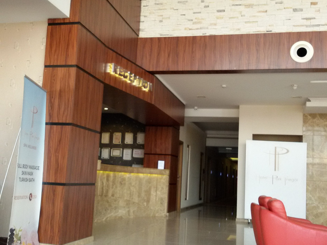 Hotel Park Inegol主图