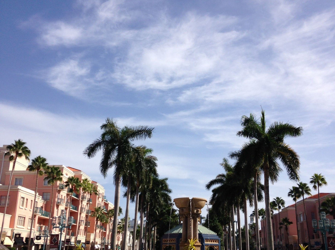 Mizner Park景点图片