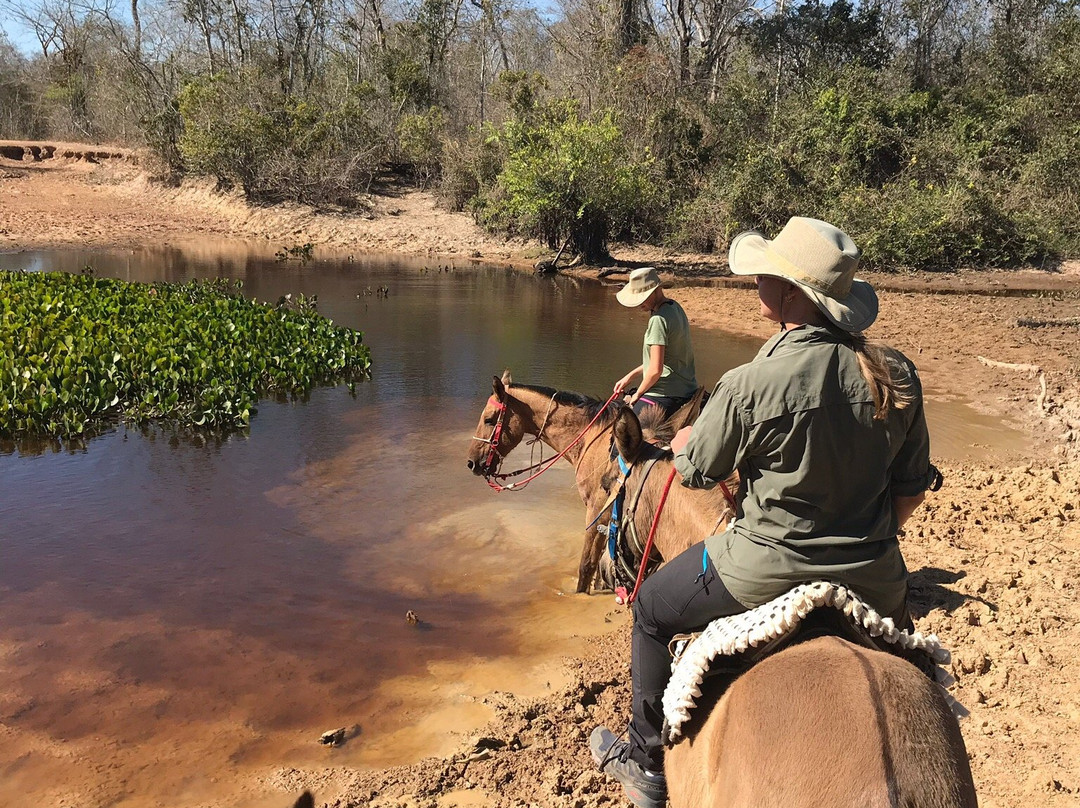 Hotel Ueso Pantanal主图