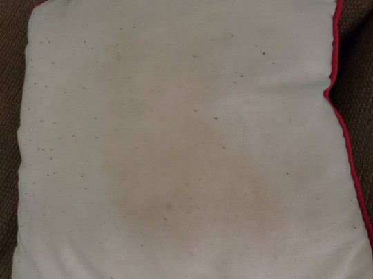 Sandpiper Springs Spa & Retreat主图