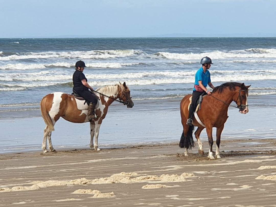 Pembrey Park Riding Centre景点图片