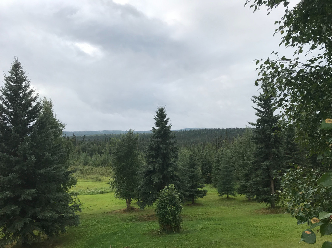 Northern Sky Lodge主图