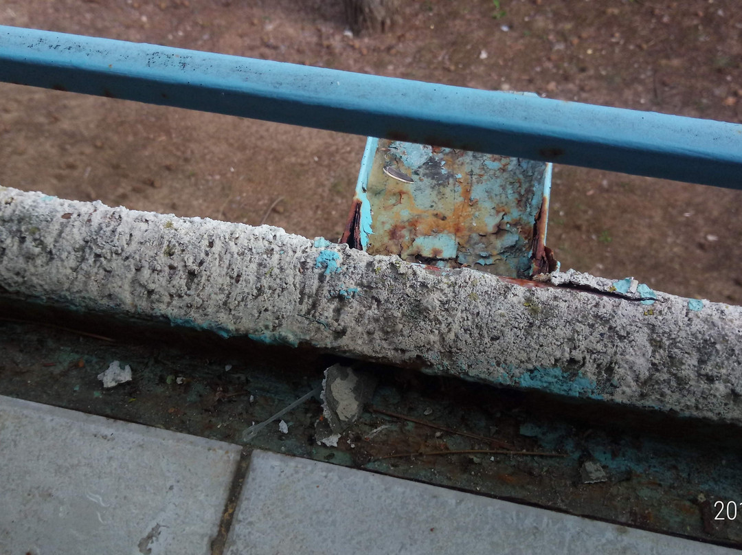 Hotel Orchidea主图