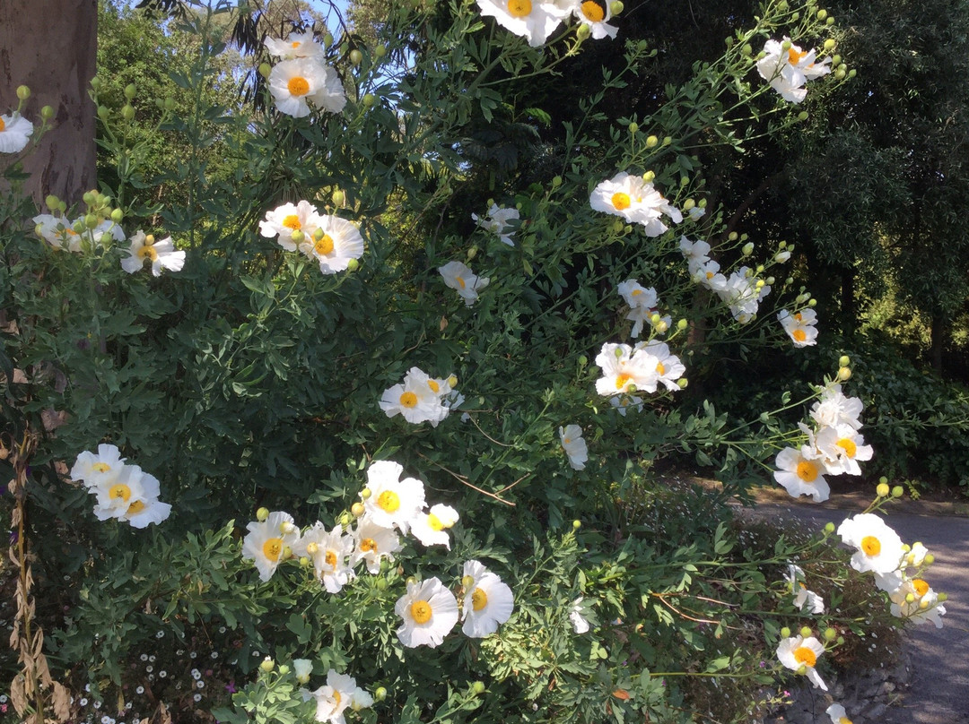 Fox Rosehill Gardens-法尔茅斯必去景点