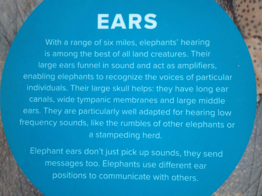 The Elephant Discovery Center-Hohenwald必去景点