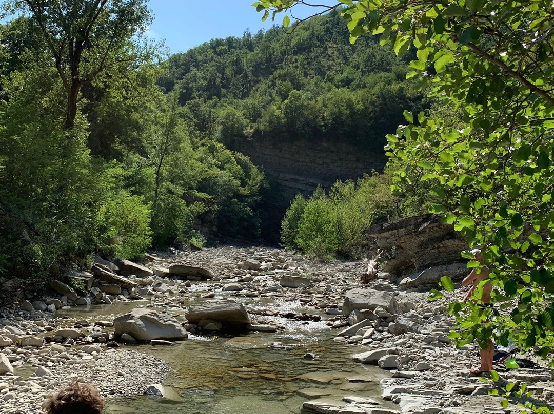 Agriturismo Brenzone主图