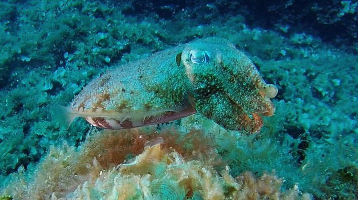 Salento Sailing-Santa Maria di Leuca必去景点