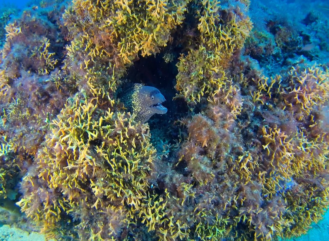 Salento Sailing-Santa Maria di Leuca必去景点