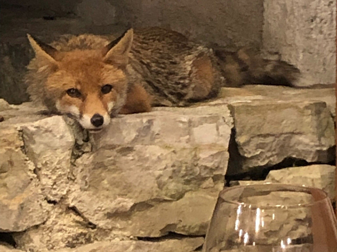 Eremo Sant'Erasmo-Roccagorga必去景点