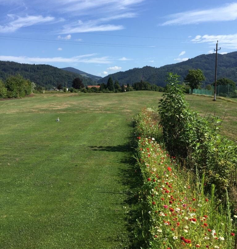 Golfanlage Schopfheim景点图片