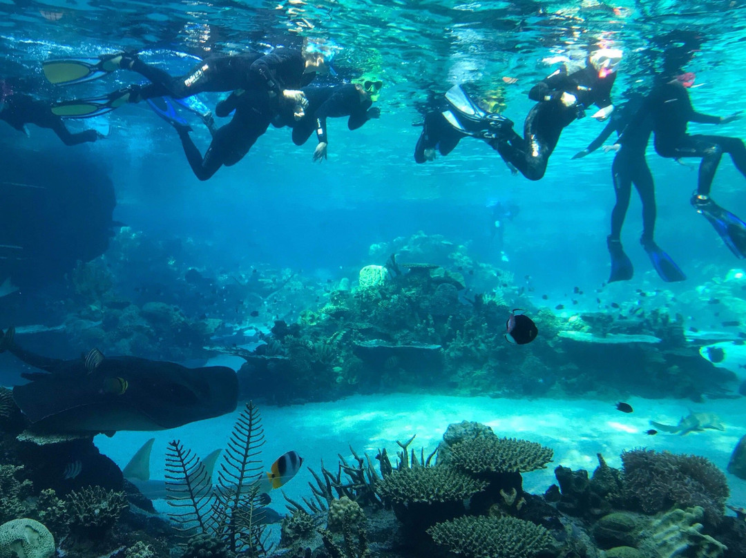 Shark Bay-梅因海滩必去景点