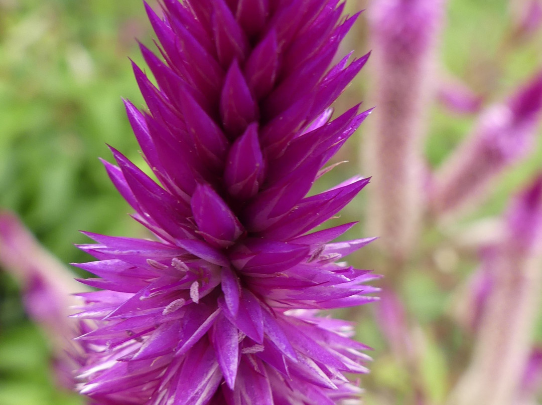 Lutheran Uhuru Hotel Moshi主图