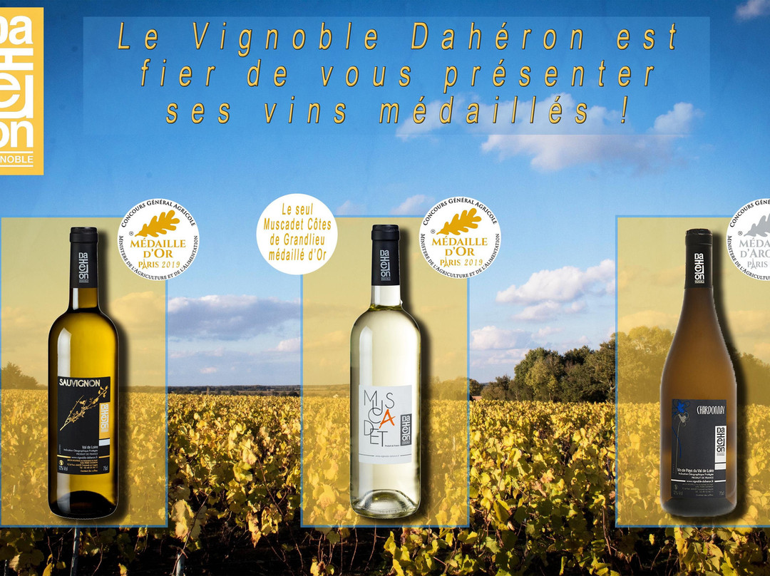 VIGNOBLE DAHERON景点图片